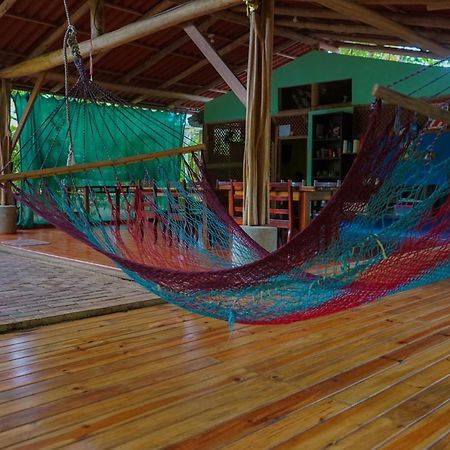 Hospedaje El Bosquecito Uvita Bagian luar foto