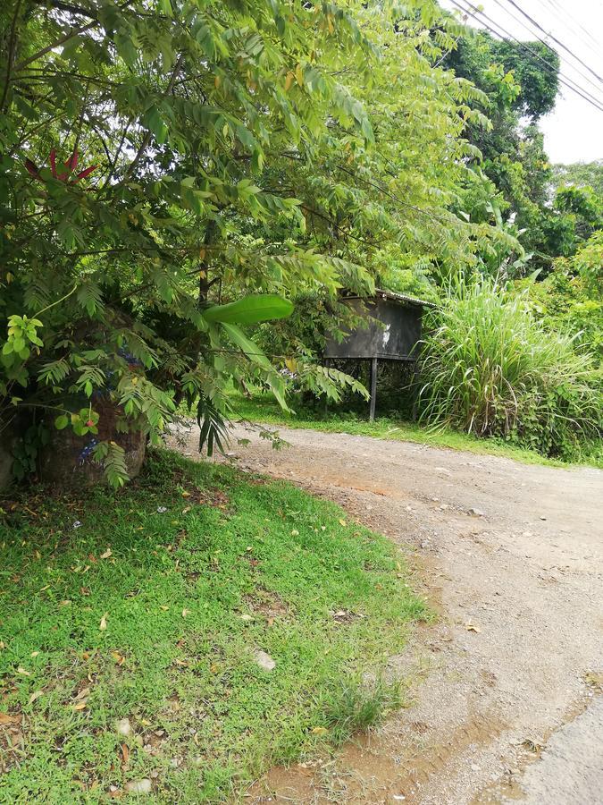 Hospedaje El Bosquecito Uvita Bagian luar foto