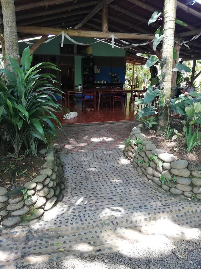 Hospedaje El Bosquecito Uvita Bagian luar foto