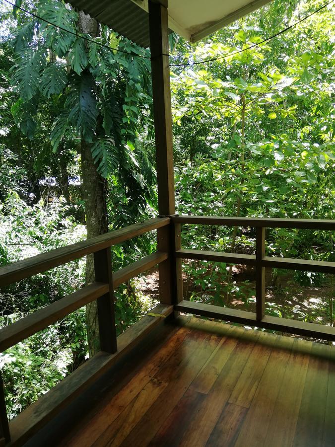 Hospedaje El Bosquecito Uvita Bagian luar foto