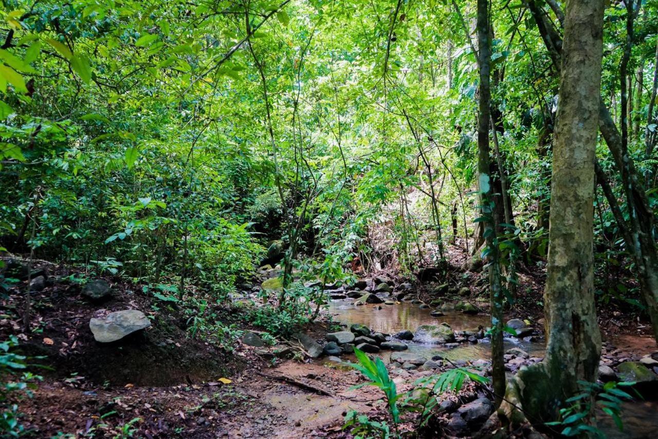 Hospedaje El Bosquecito Uvita Bagian luar foto