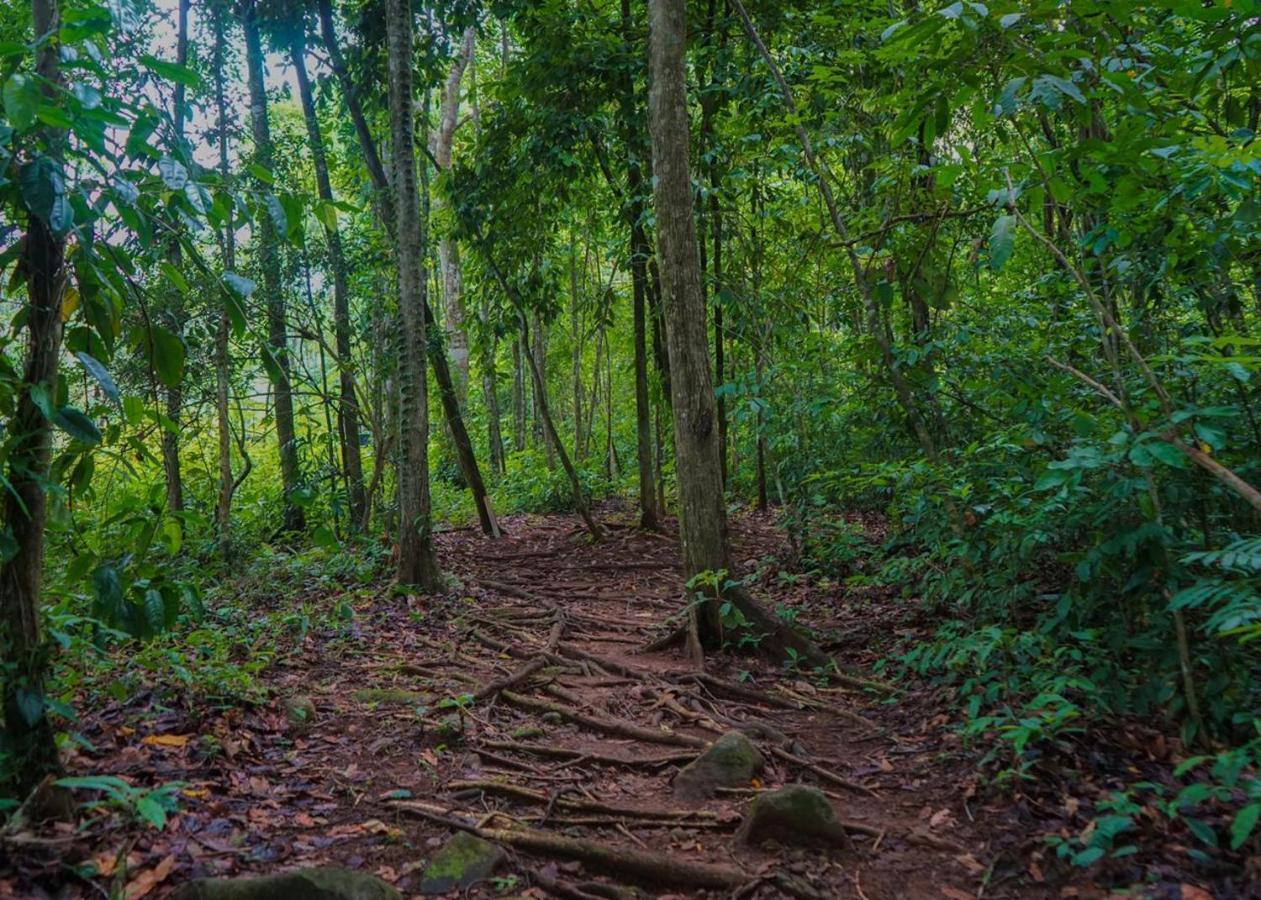 Hospedaje El Bosquecito Uvita Bagian luar foto
