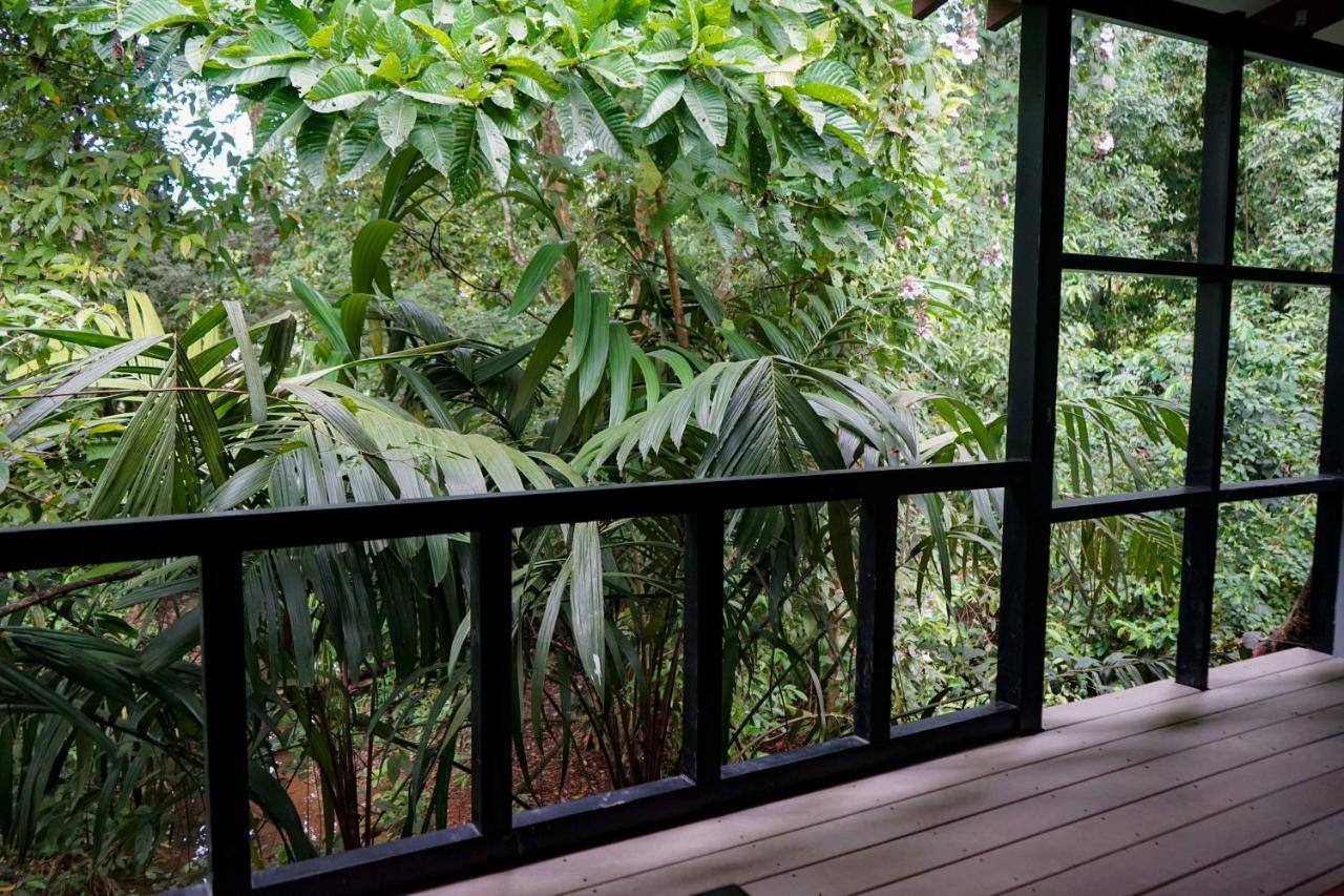 Hospedaje El Bosquecito Uvita Bagian luar foto