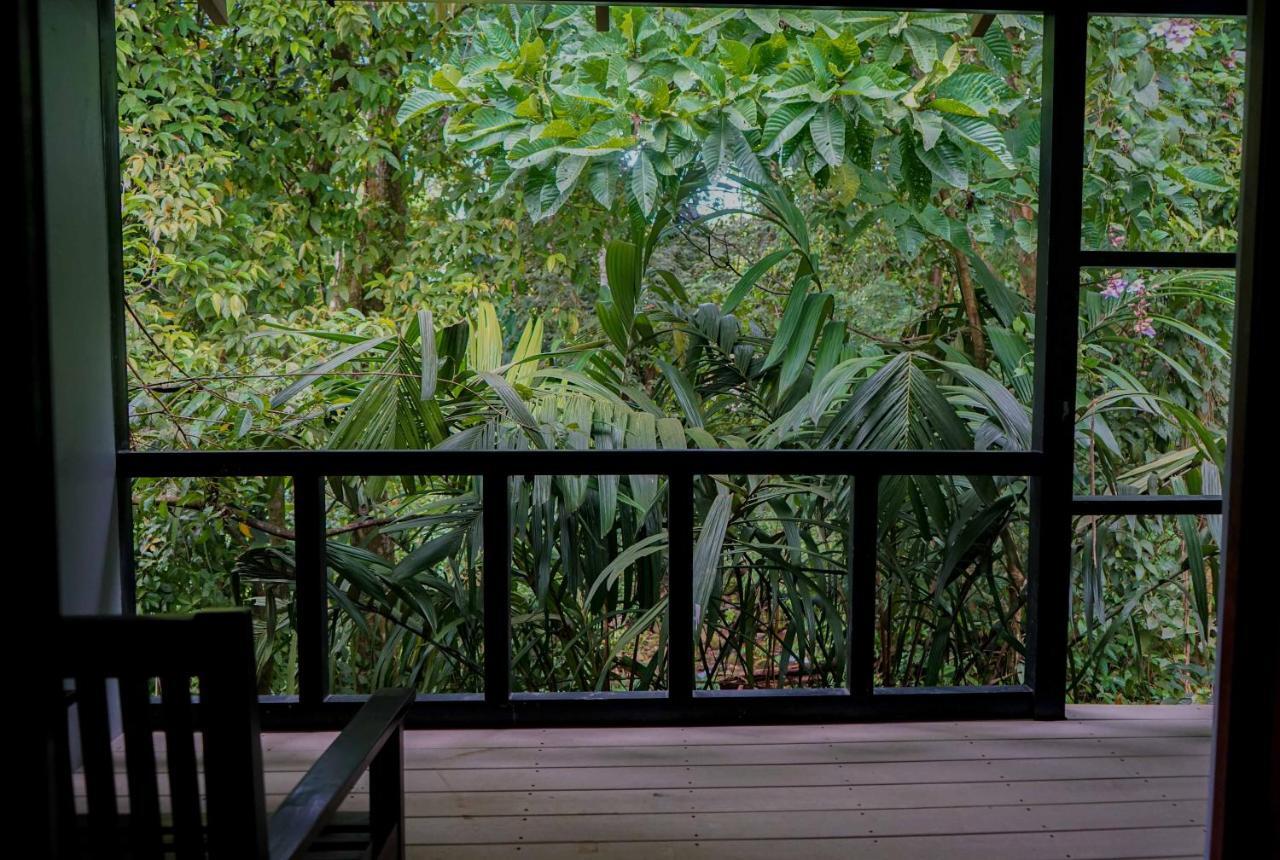 Hospedaje El Bosquecito Uvita Bagian luar foto