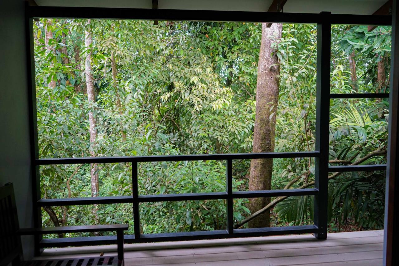 Hospedaje El Bosquecito Uvita Bagian luar foto