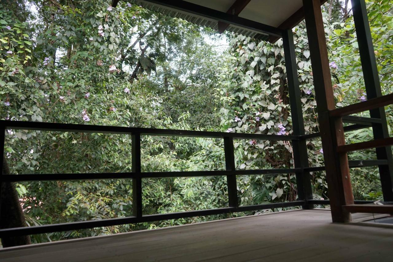 Hospedaje El Bosquecito Uvita Bagian luar foto